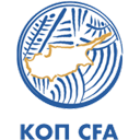 Escudo do Time